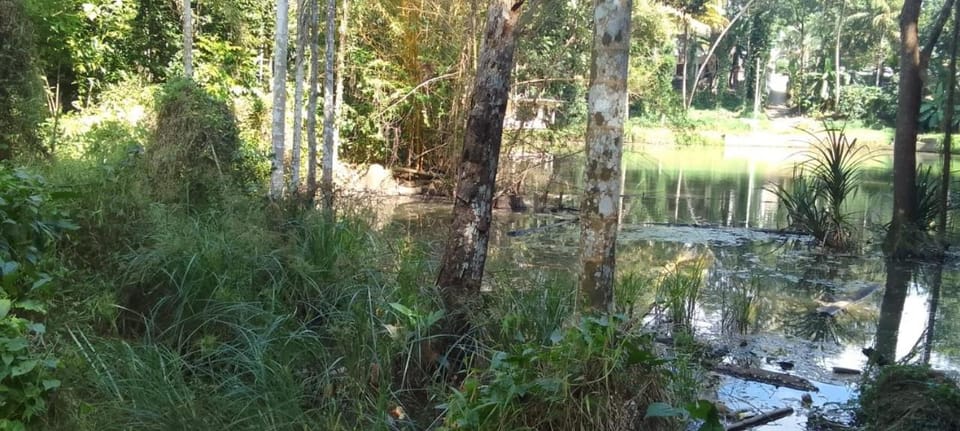Lakeview since 1963 Campground/ 
RV Resort in Gangawatakorale