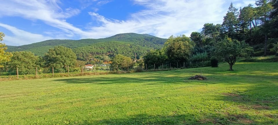 Spring, Mountain view