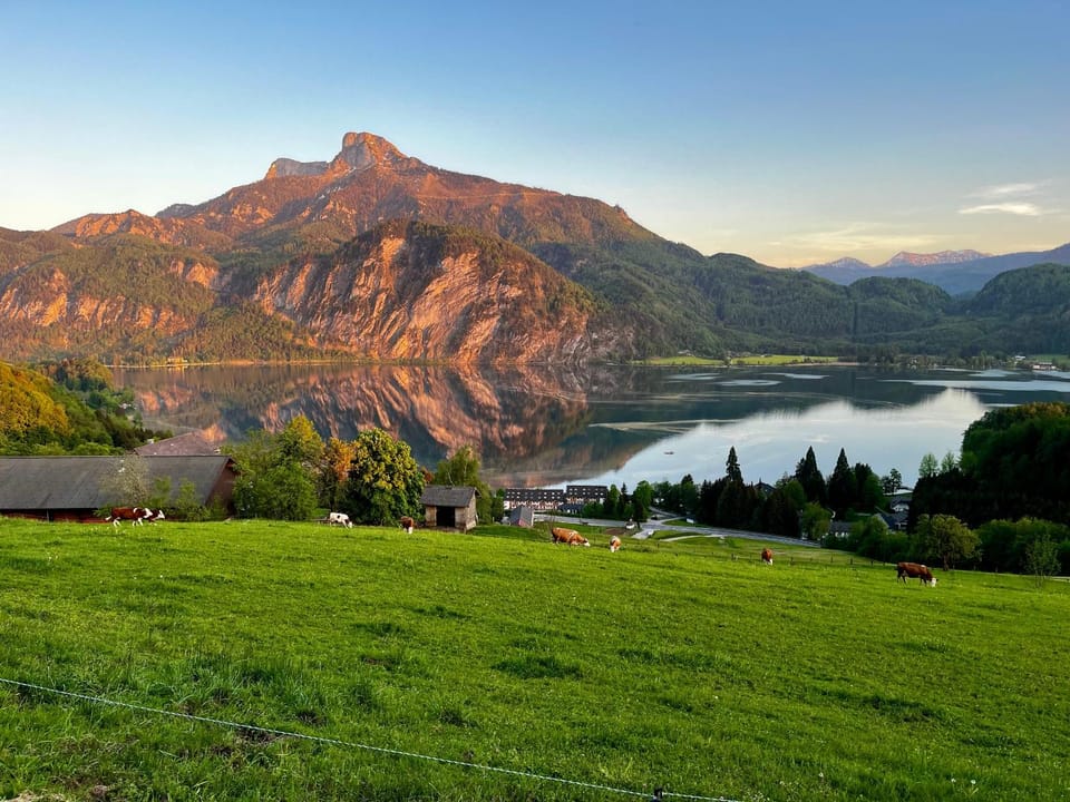 Natural landscape, Animals, Lake view, Mountain view