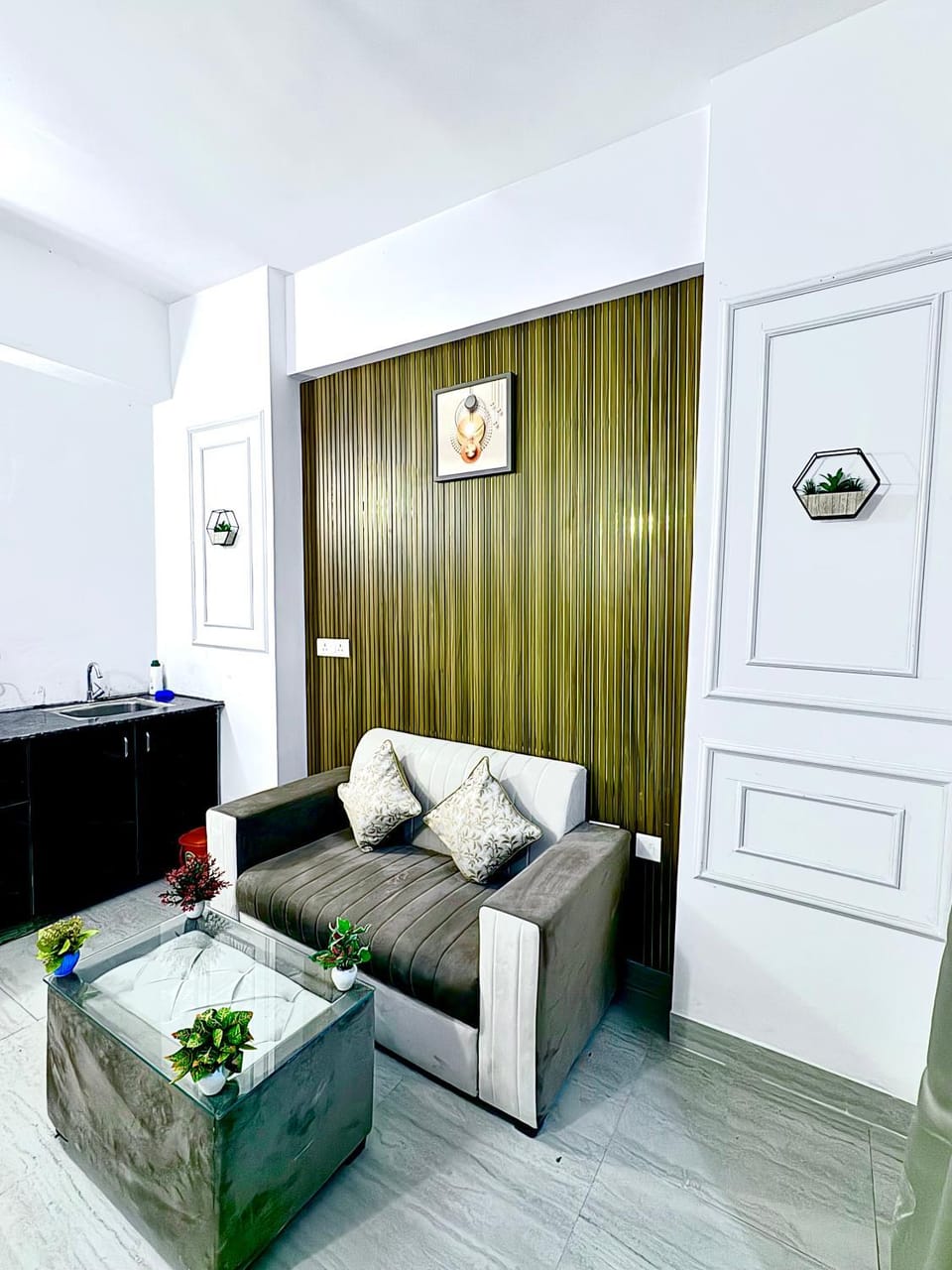 Luxurious-STAY-swimming pool Apartment in Noida