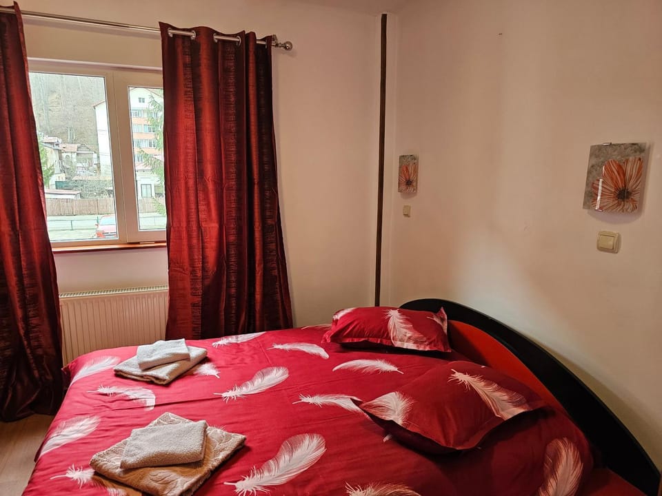 Villa Foisor Bed and Breakfast in Prahova, Romania