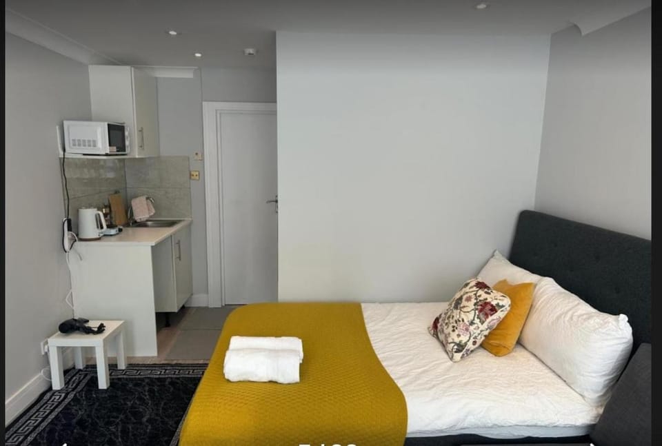 Studio Room with Private Entrance St Pancras Apartment in London Borough of Islington
