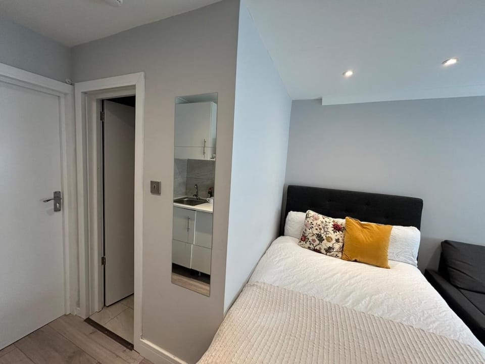 Studio Room with Private Entrance St Pancras Apartment in London Borough of Islington