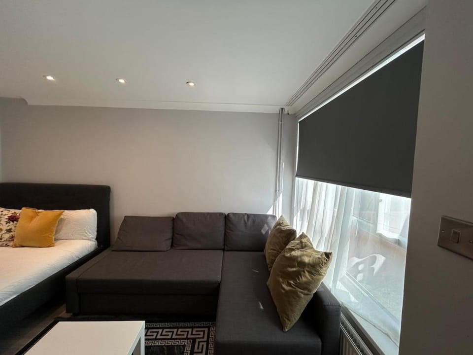 Studio Room with Private Entrance St Pancras Apartment in London Borough of Islington