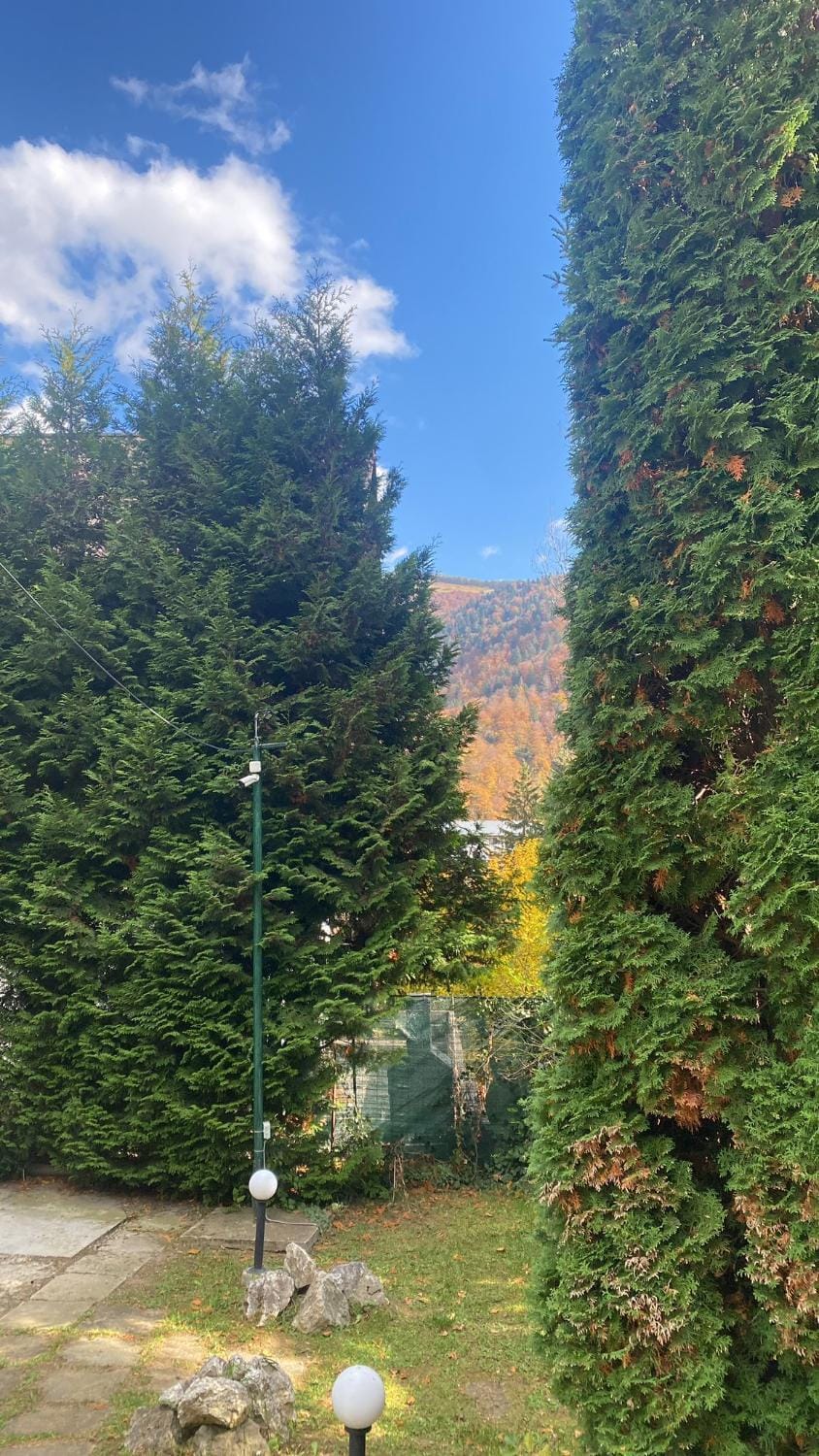 Mountain view