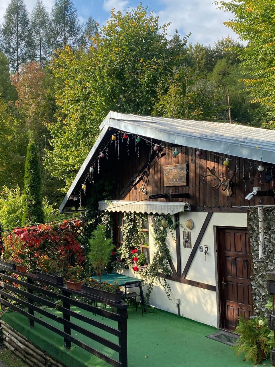 Chalet Traian & Ruxandra Nature lodge in Sinaia