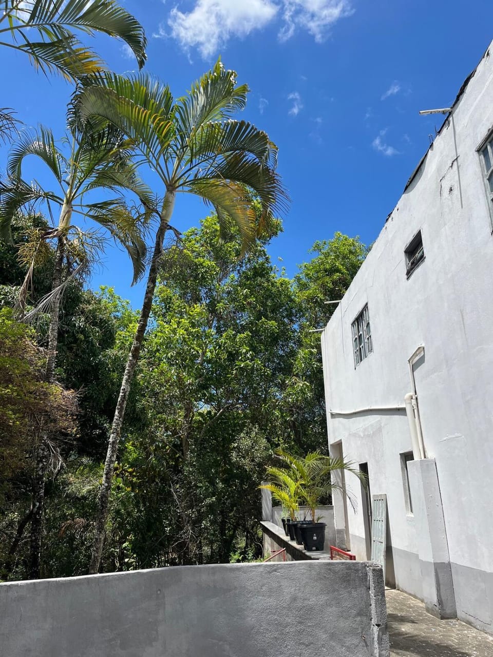 4-bedroom farmhouse, 2 suites, large outdoor space House in Vila Velha