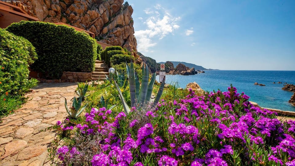 Property building, Garden