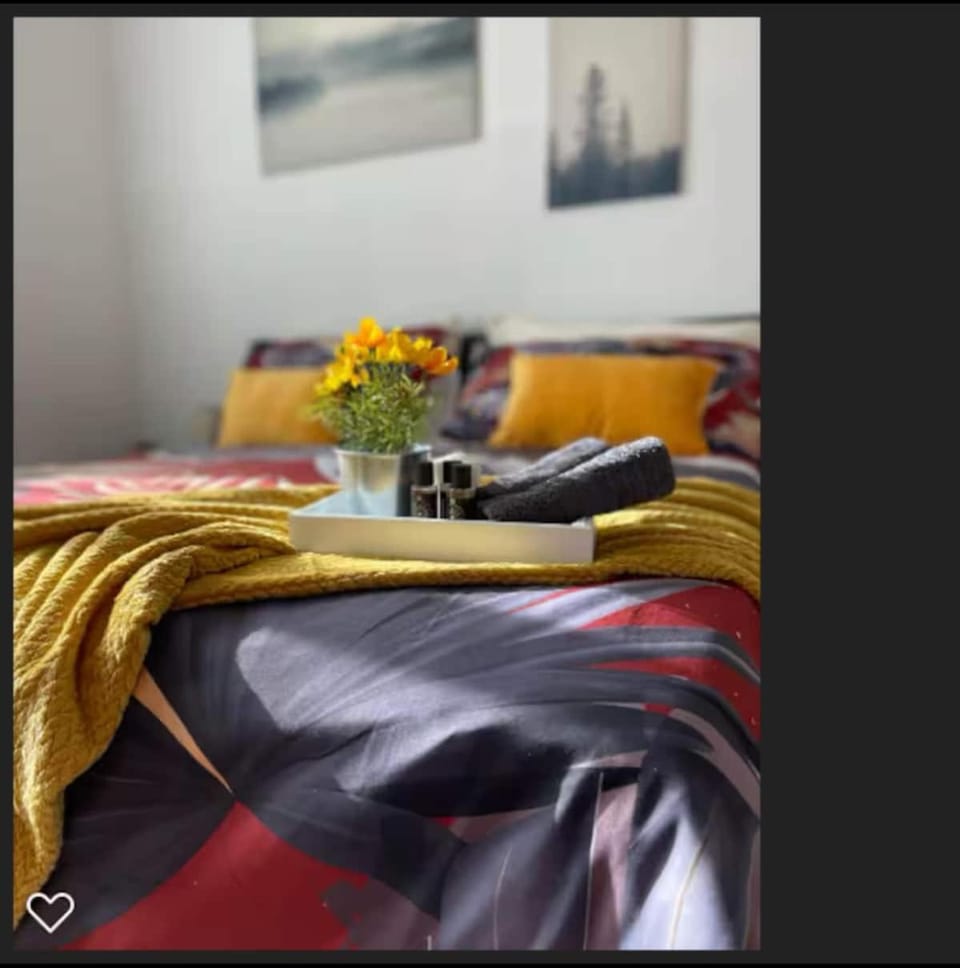 Sole e relax near Humanitas Apartment in Lombardy