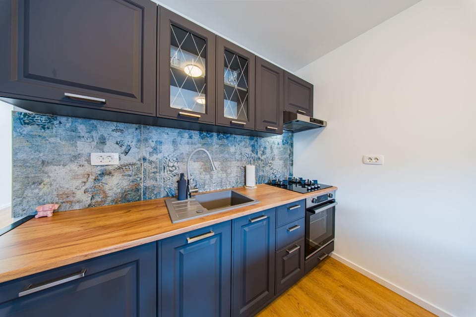 Kitchen or kitchenette, dishwasher, stove