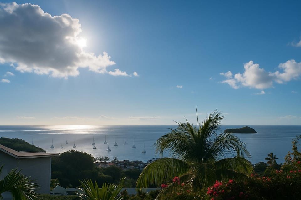 Sea view