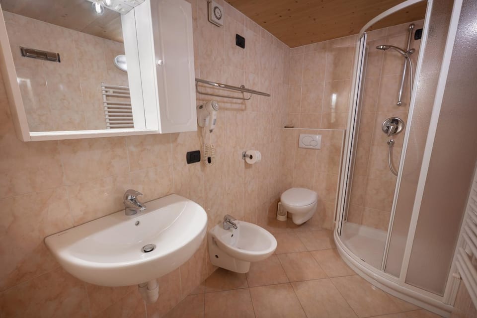 Shower, Toilet, Bathroom, bidet