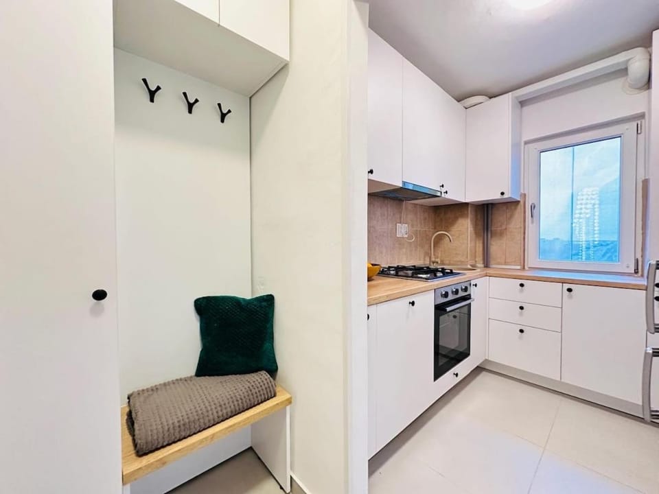Deluxe Quiet Family Oasis Apartment in Timisoara