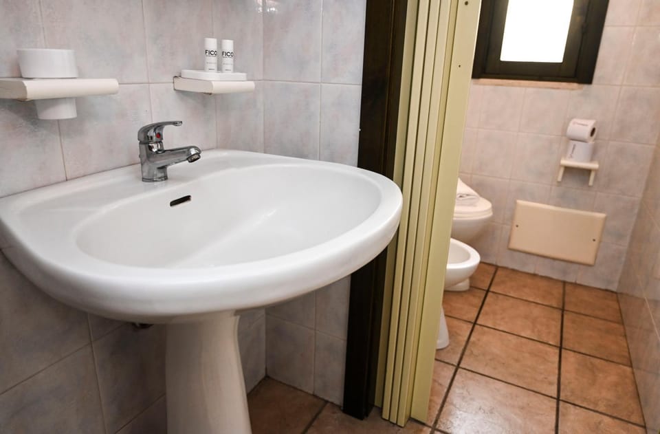 Toilet, Bathroom, bidet