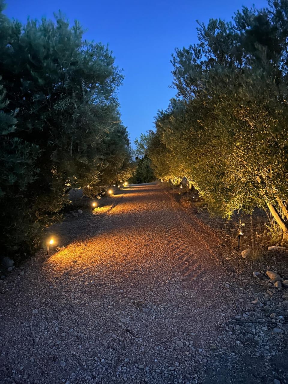 Night, Natural landscape