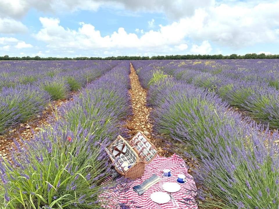 Natural landscape, Garden