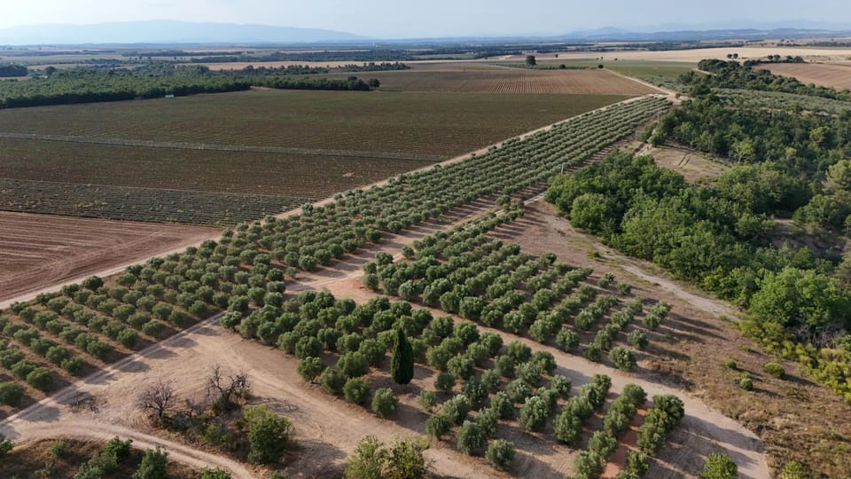 Natural landscape, Bird's eye view