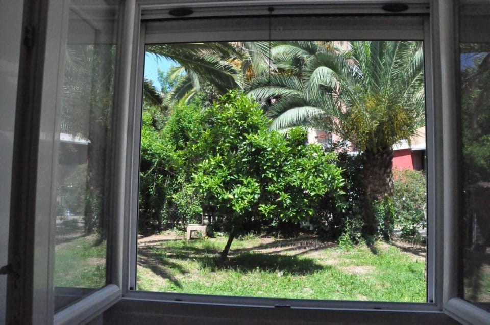 Garden view
