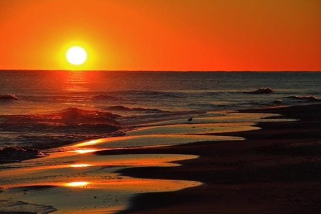 Alabama Sands 9 by ALBVR - Walk to Beach, Pool, and Little Lagoon! Apartment in West Beach