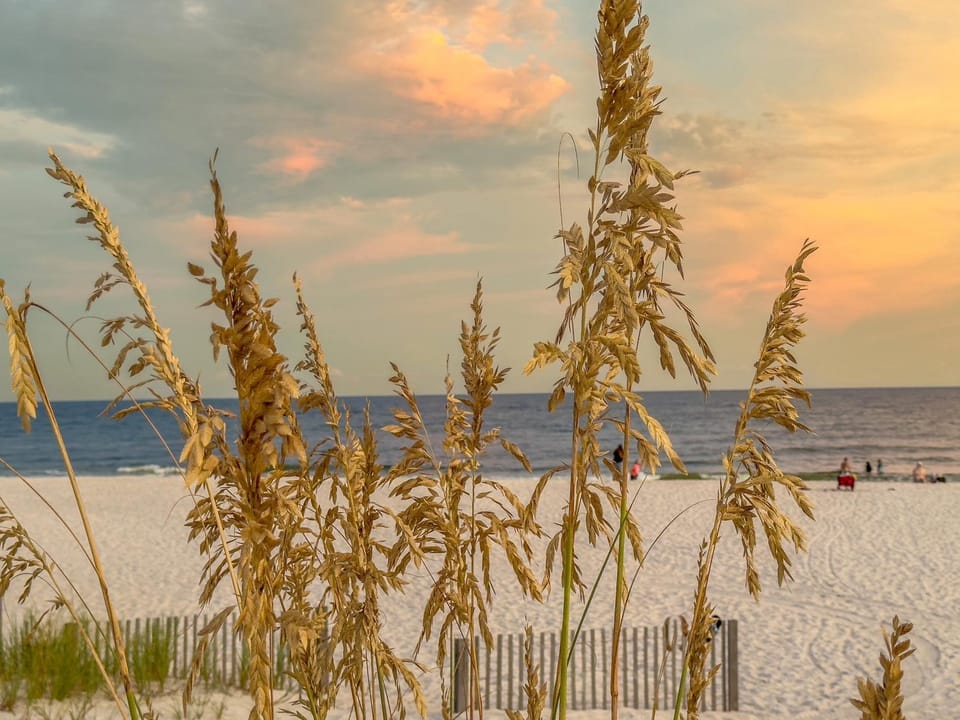 Alabama Sands 9 by ALBVR - Walk to Beach, Pool, and Little Lagoon! Apartment in West Beach
