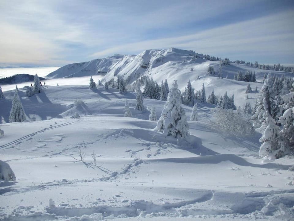 Central View - Near CERN,Geneva,UN - Free Parking Apartment in Canton of Geneva