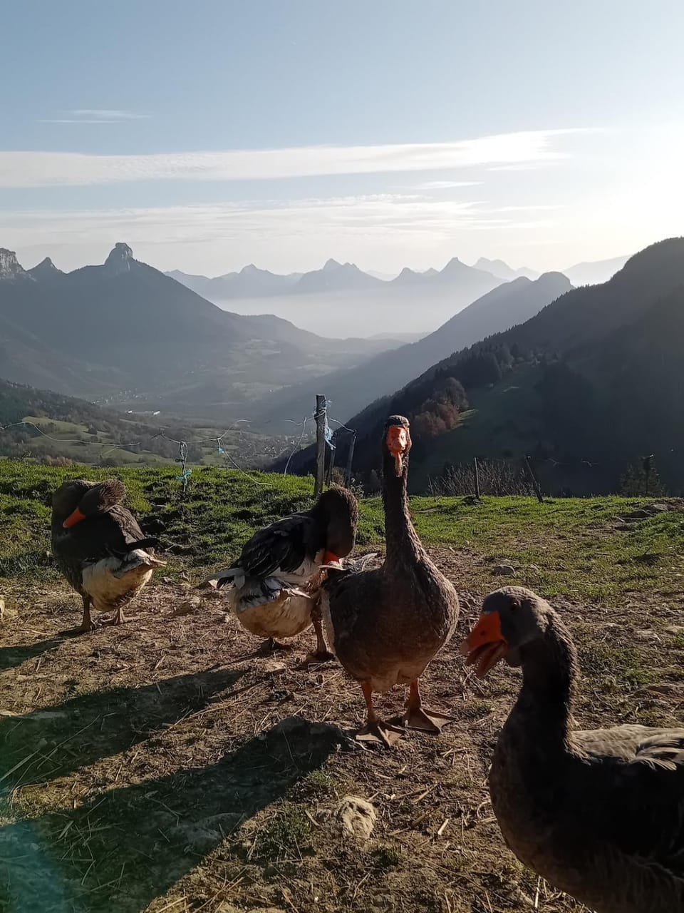Petit chalet l Authentique Annecy Chalet in Haute-Savoie
