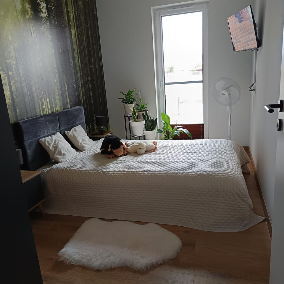 Apartamenty na Różanej Apartment in West Pomeranian Voivodeship, Poland