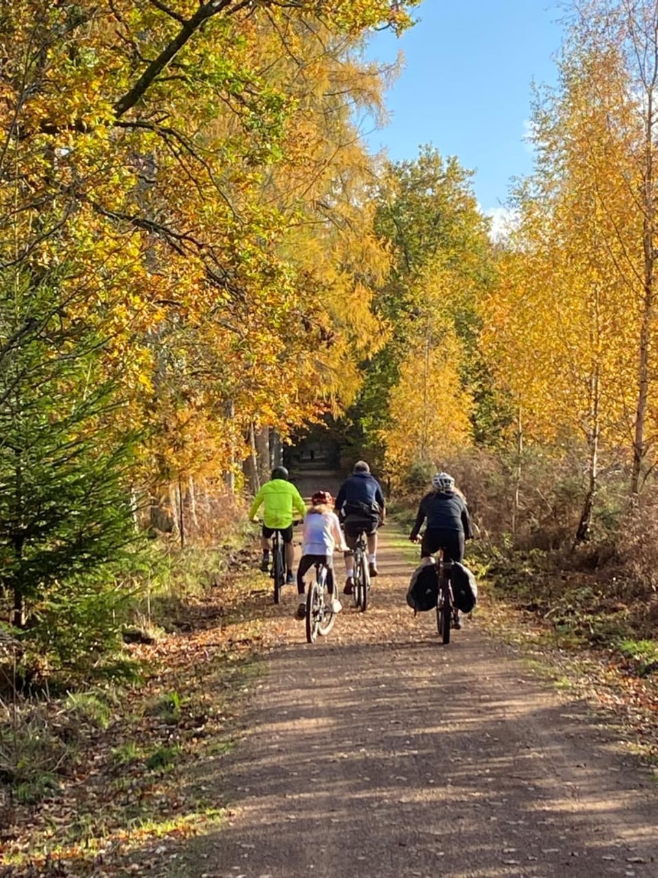 Other, Cycling