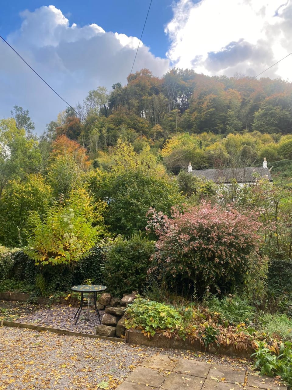 Natural landscape, Garden view, Mountain view