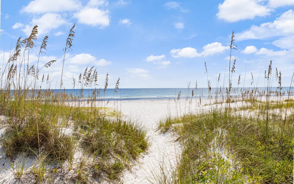 Happy Oasis House in Inlet Beach