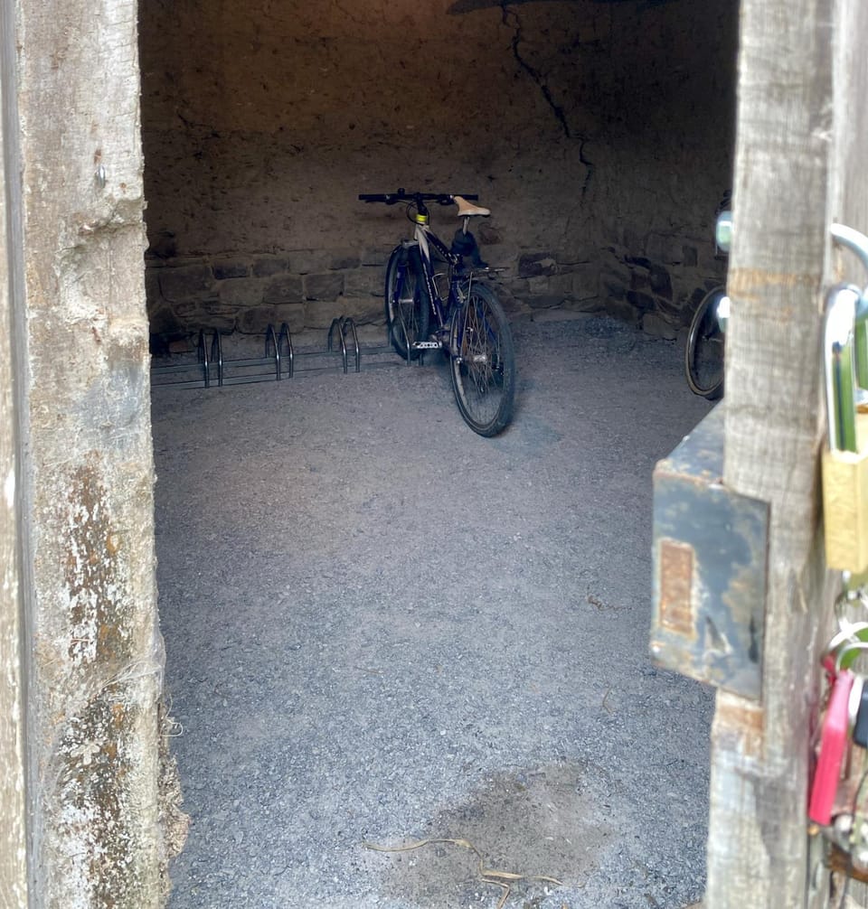 Cycling, Sports