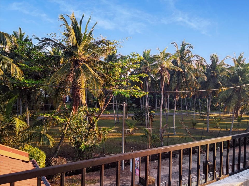 Natural landscape, Garden view