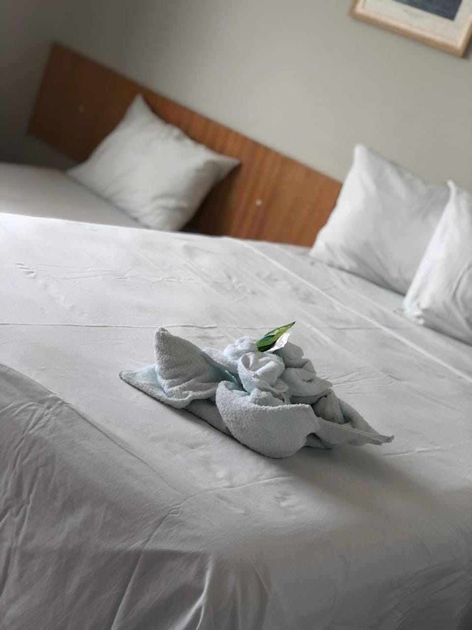 Pousada Mayer Hotel in State of Alagoas, Brazil