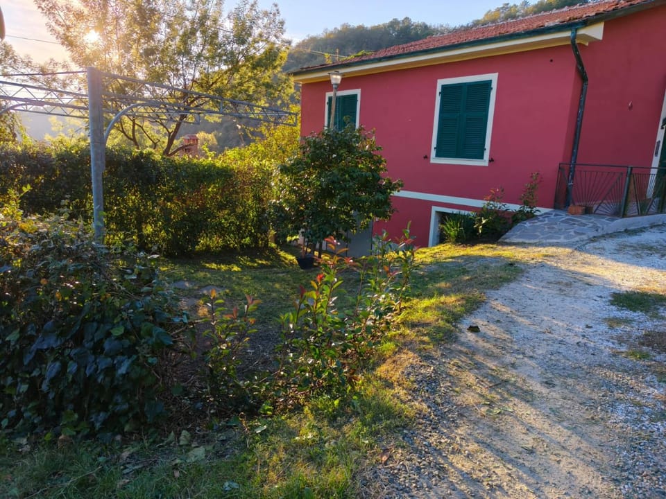 Property building, Garden view