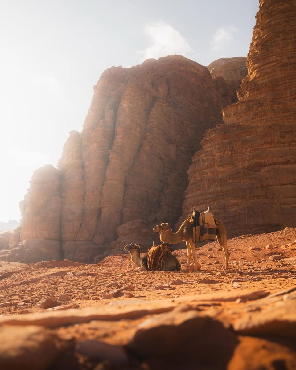 A luxurious experience under the stars of Wadi Rum Nature lodge in South District