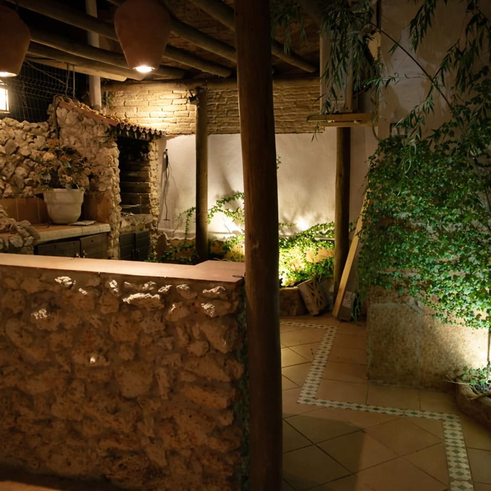 Night, Garden, Garden view