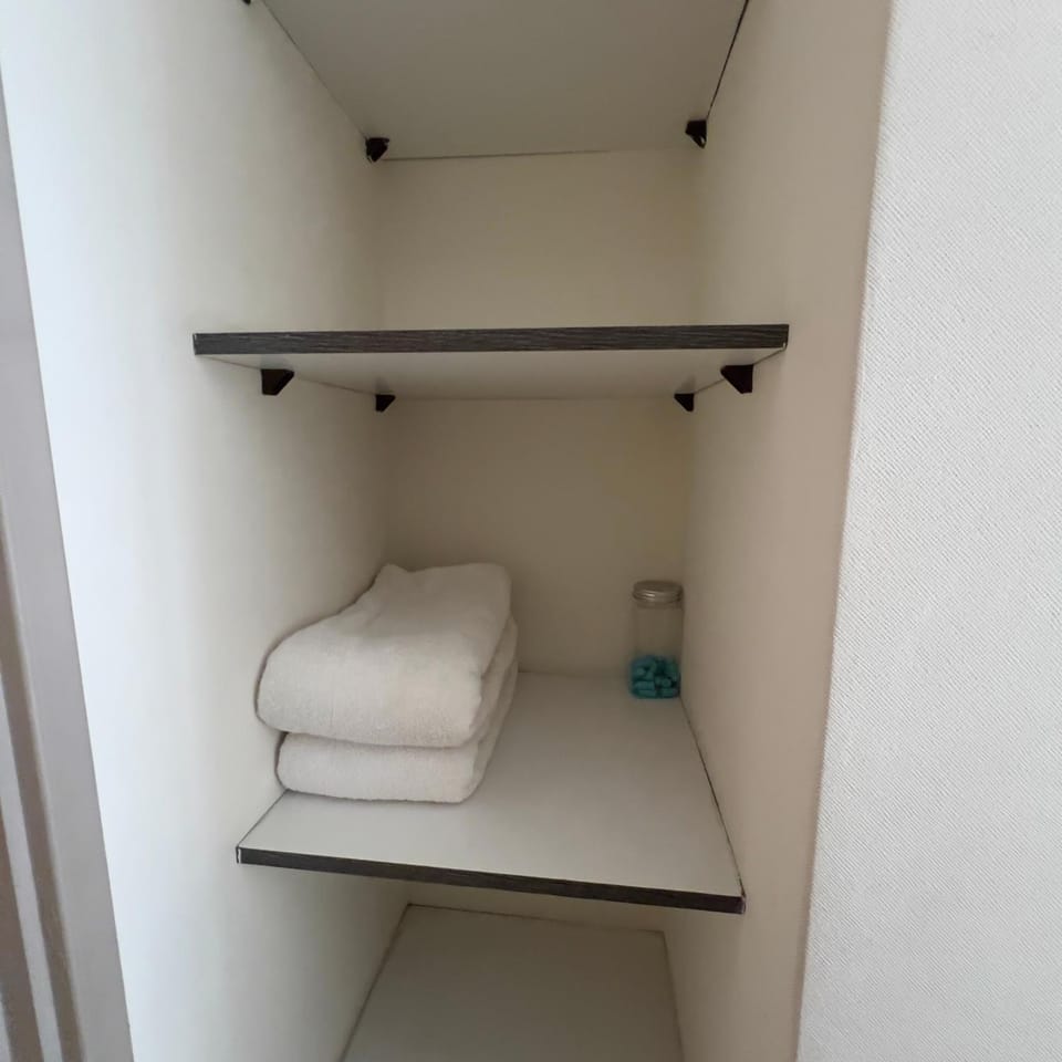 Central Apartaments Apartment in Santiago