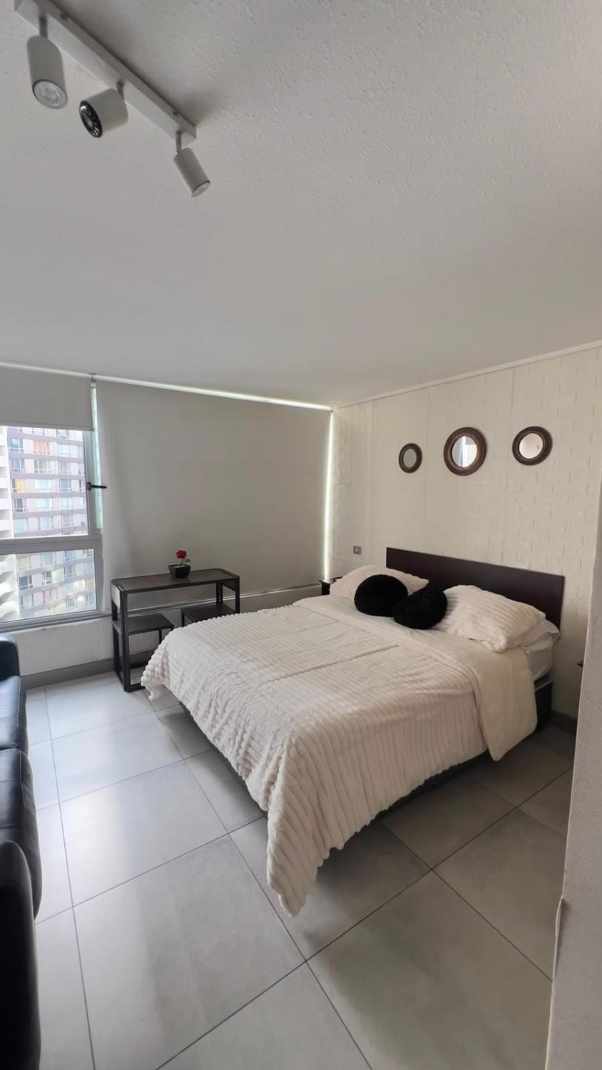 Central Apartaments Apartment in Santiago