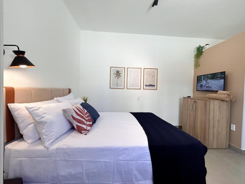AP Smart Samaritan Fast Internet Office Apartment in Campinas