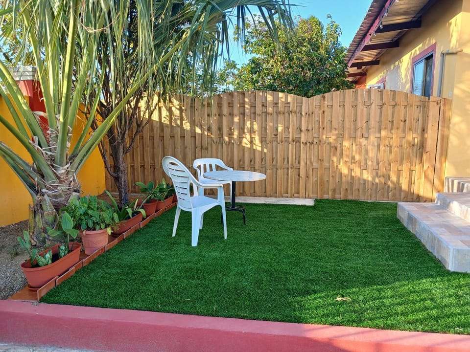 Garden view