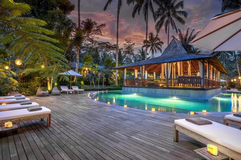 Garden, Pool view, Swimming pool, sunbed
