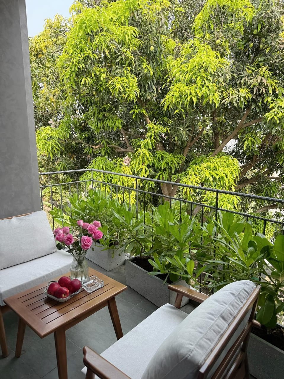 Khánh Vy Homestay Hotel in Laos