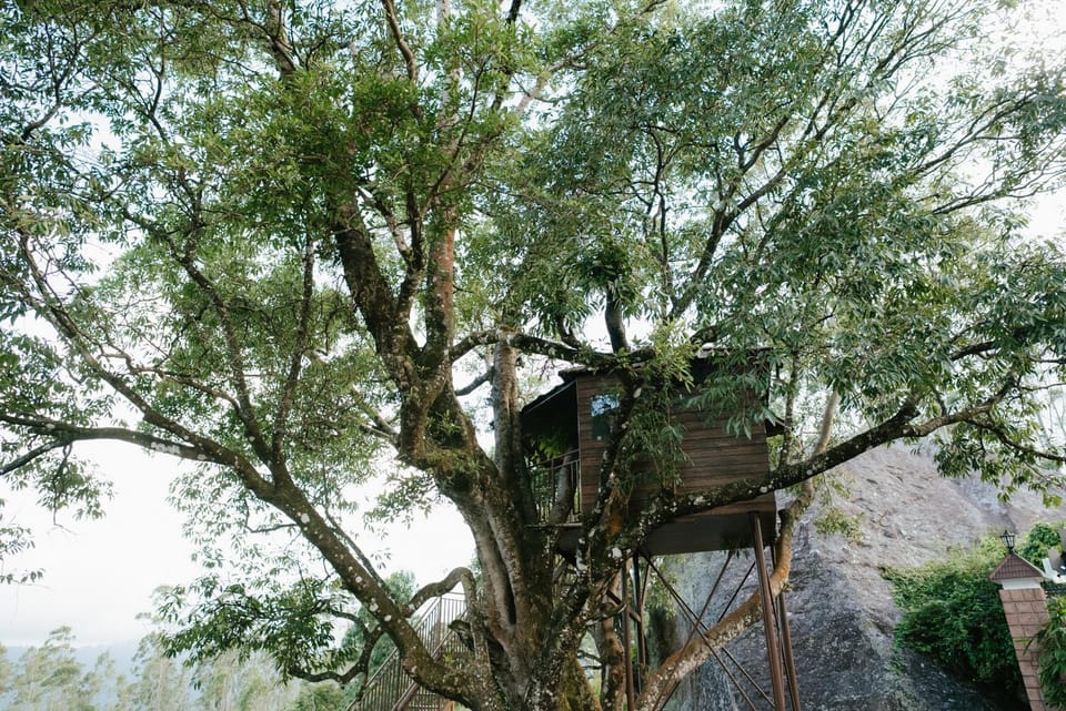 Stone House By Montara Grande Villa in Kerala