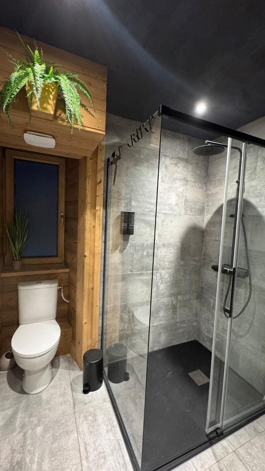 Shower, Toilet