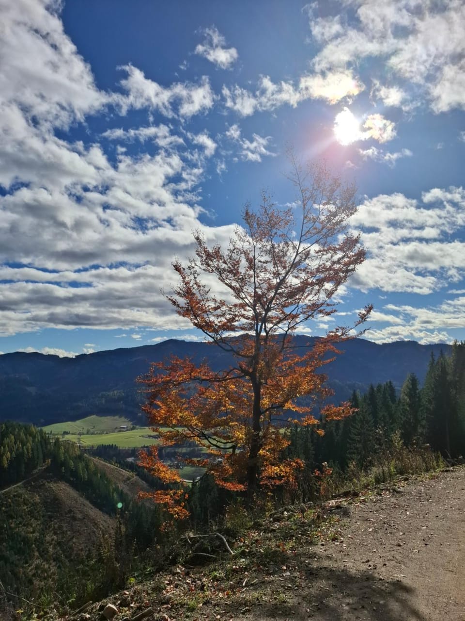 Hiking