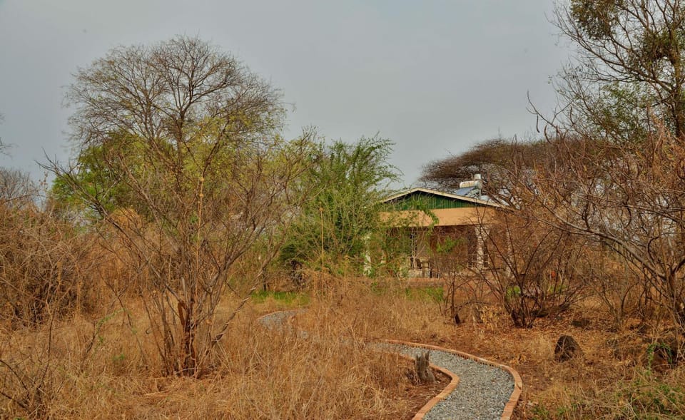 View (from property/room), Garden view