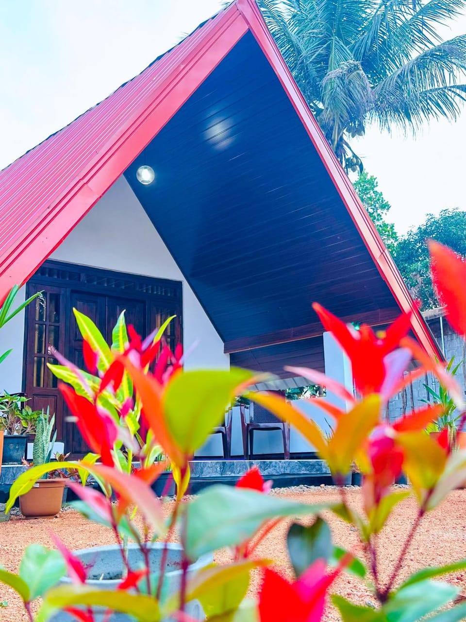 Day, Garden, Garden view