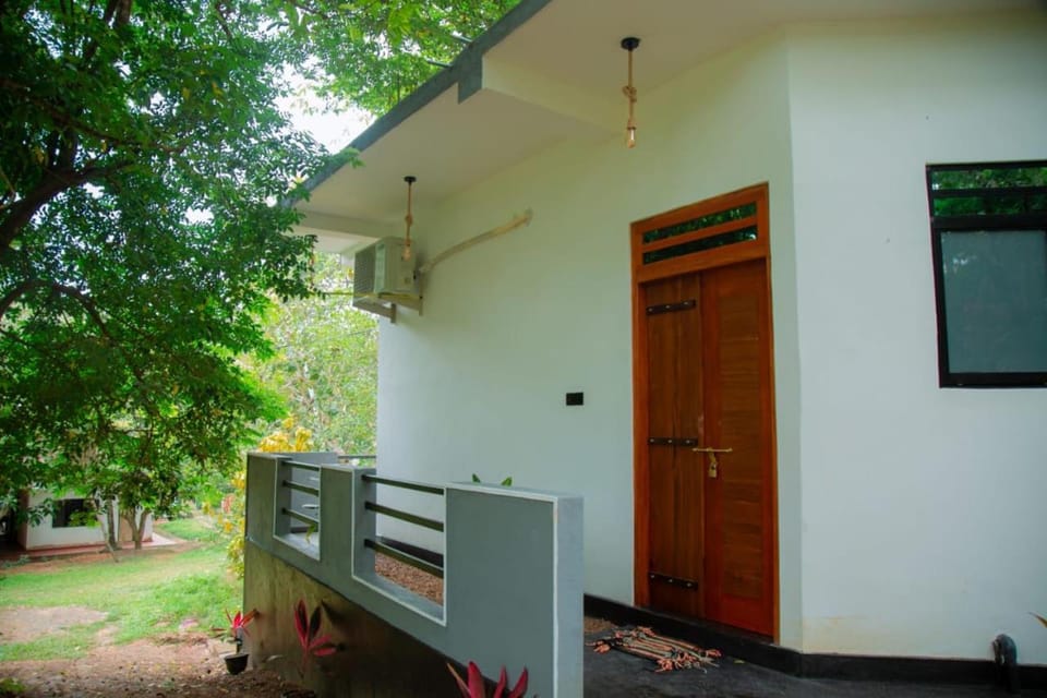 Day, Garden, Garden view