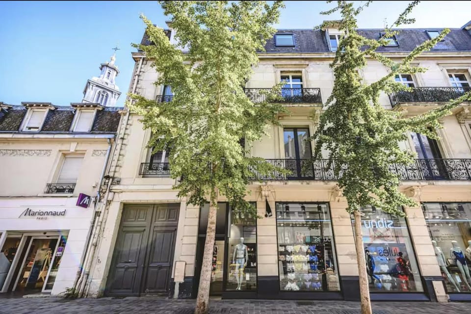 LE SAINT JACQUES - Reims hypercentre Apartment in Reims