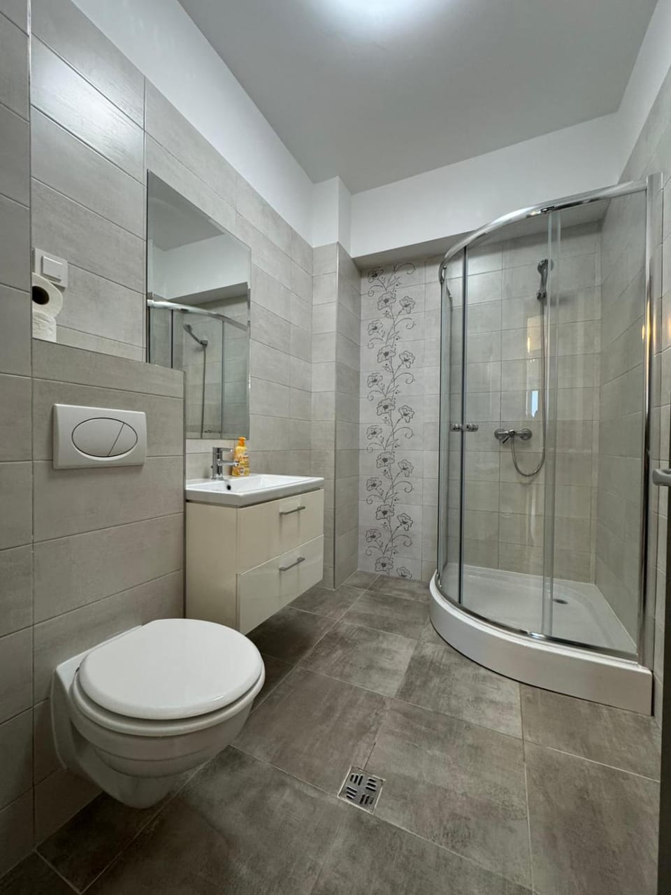 Exclusive Living Apartment Apartment in Moldova